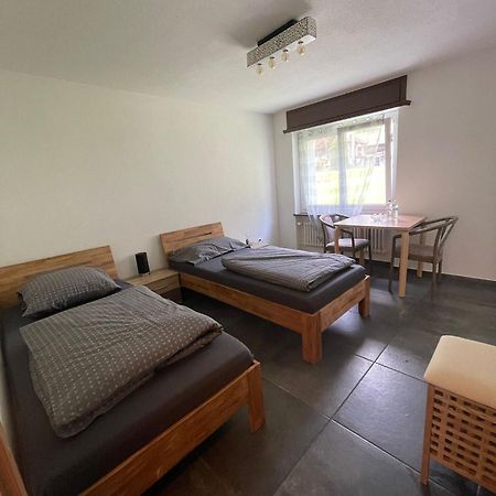 Ferienregion Andermatt - Studio In Wassen Kültér fotó